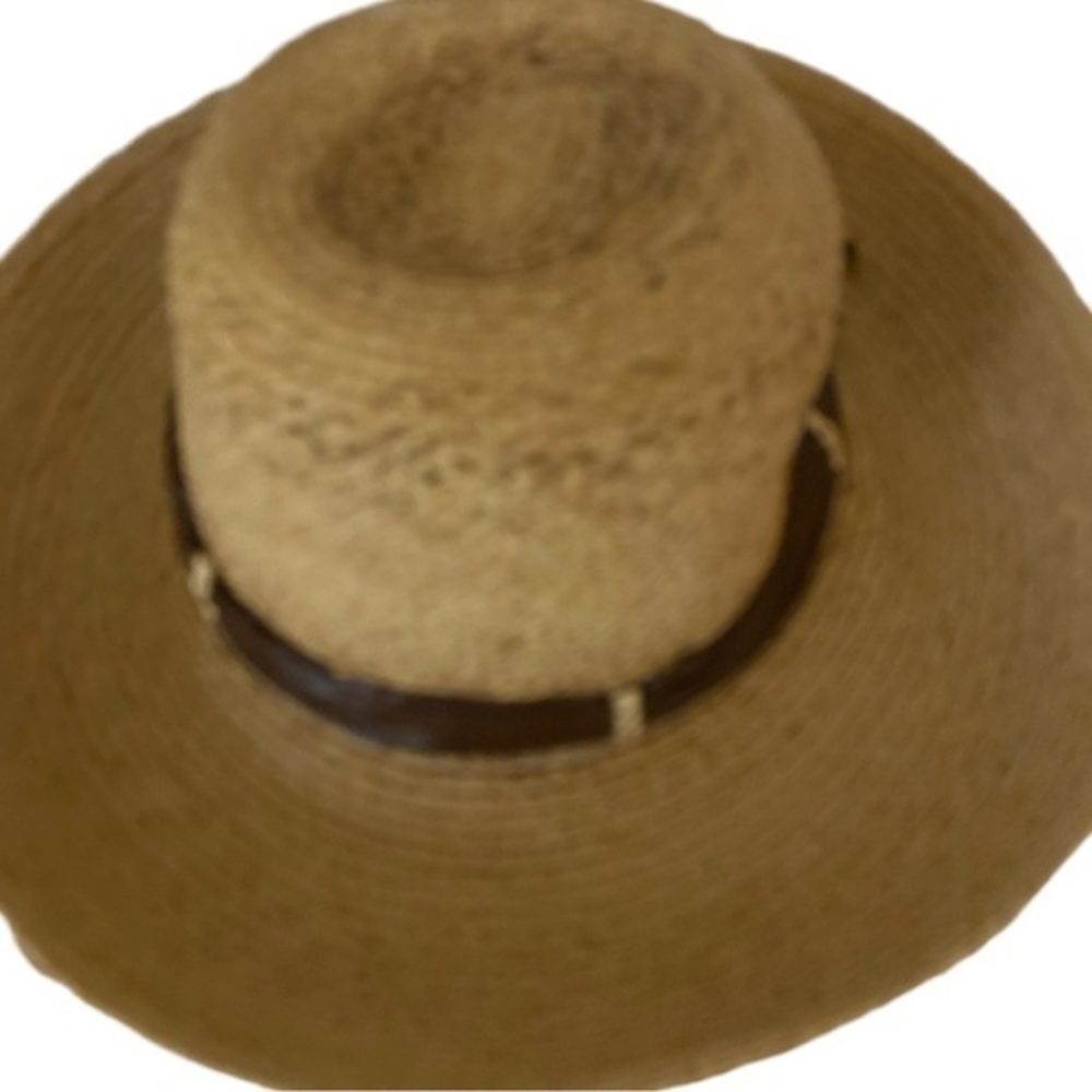 The Hat Company Filippo Catazi Vintage Raffia Har - OSFM tan Raffia , Italy